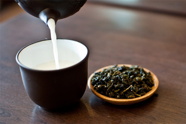 Kāda ir piena oolong lietderība