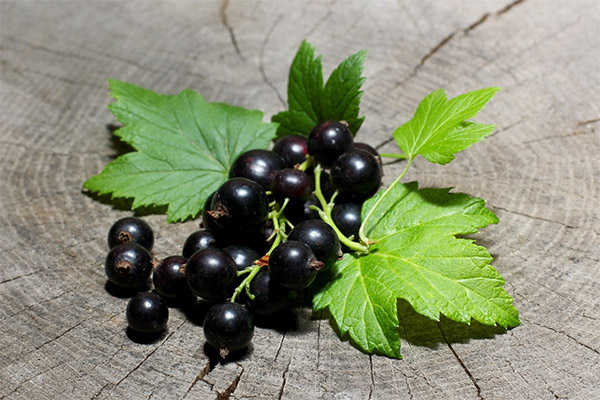 Currant fapte