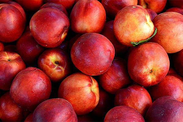 Fapte despre Nectarine