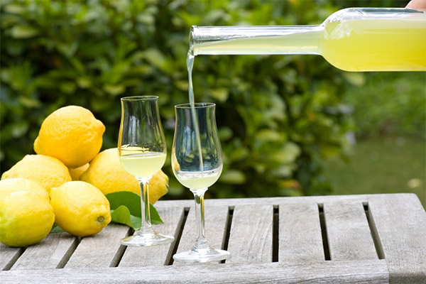 Πώς να πίνετε το limoncello σωστά