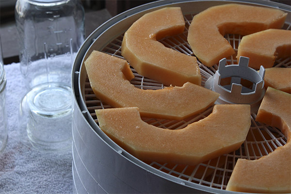 How to Dry Melon