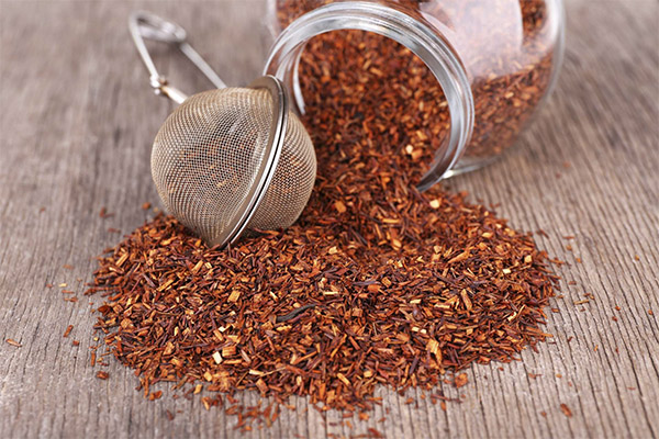 Kaip pasirinkti ir laikyti rooibos arbatą