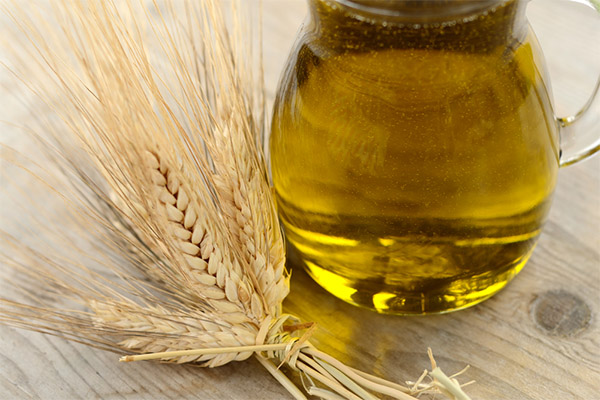 Wheat Germ Oil