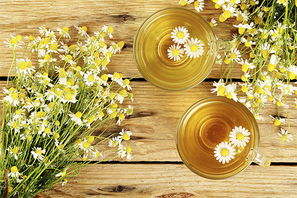 Infusion of chamomile in medicine