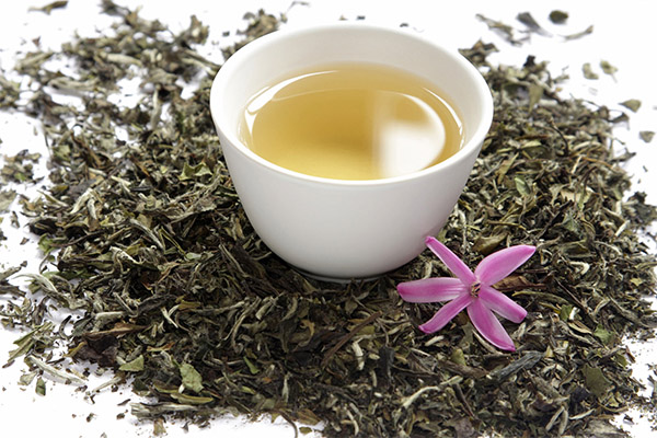 White Tea Benefits