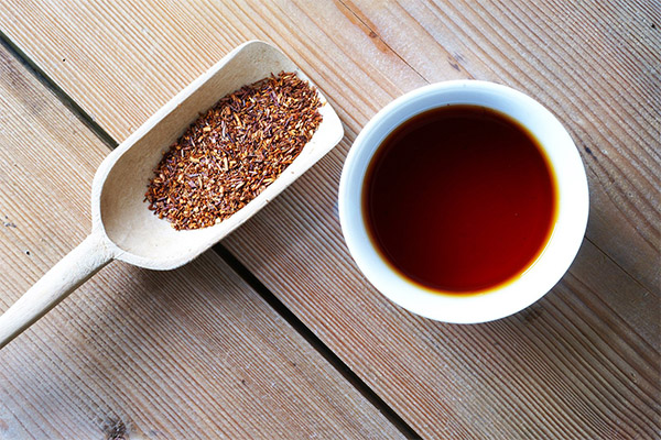 Rooibos savybės