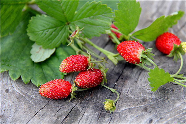 Useful properties of strawberries