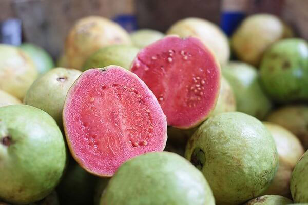 Guavas izmantošana tradicionālajā medicīnā