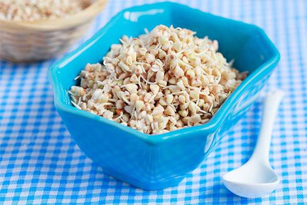 Sprouted Buckwheat in medicine