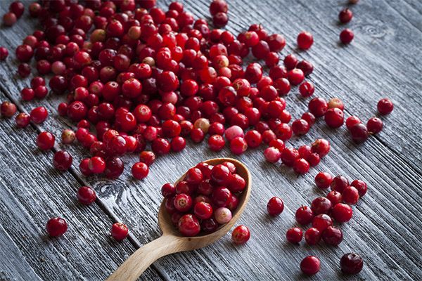 Πόσο cranberry μπορεί να καταναλωθεί σε μια ημέρα