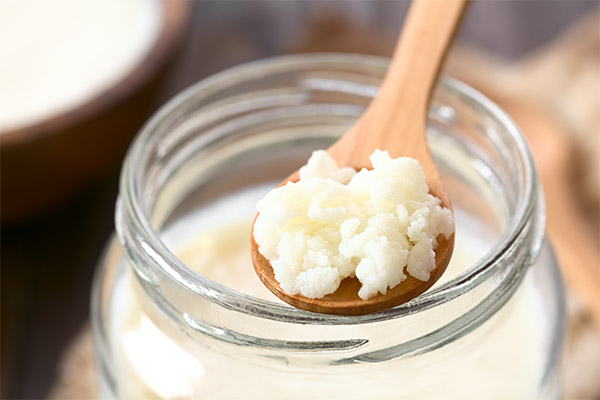 Tibetan milk mushroom in medicine