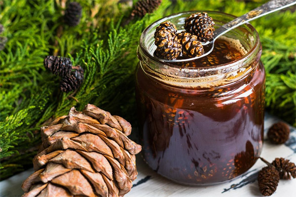 Confiture de pommes de pin au miel