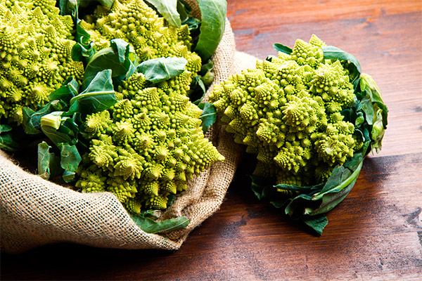 Comment cuisiner le chou Romanesco