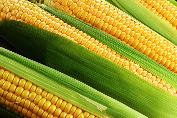 Corn în cosmetologie