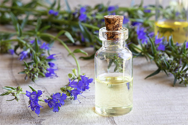 Hyssop Oil