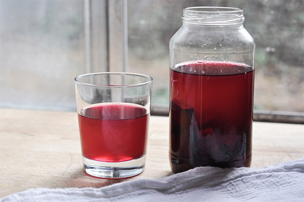 Useful properties of beet kvass