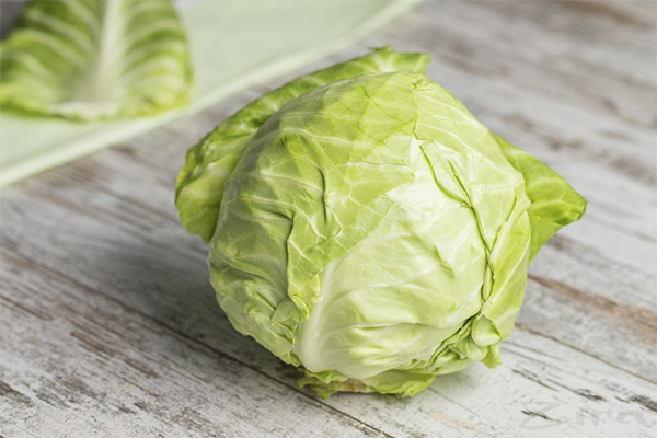 The benefits and harms of white cabbage