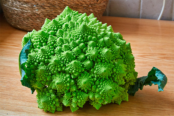 Výhody a škody kapusty Romanesco