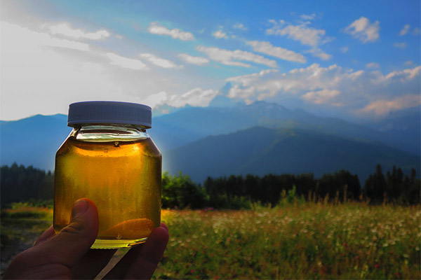 Utilizarea mierii de munte în medicină