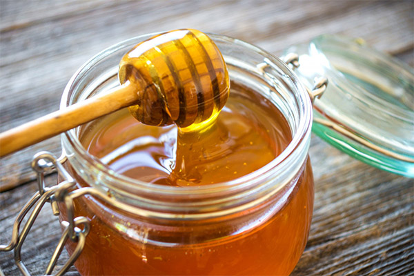 Culinary Uses of May Honey