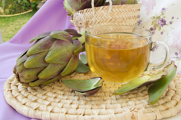 Recipes of folk medicine with artichokes