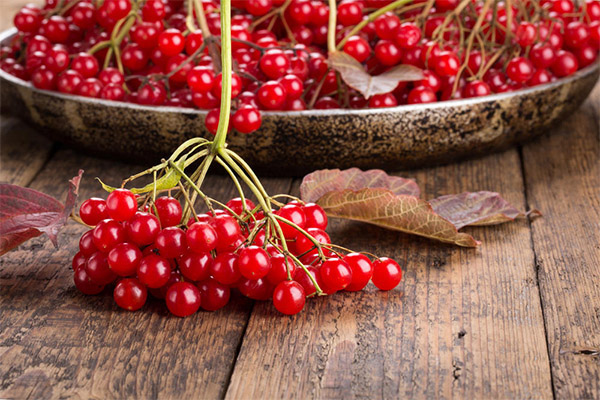 Collection and storage of cranberry