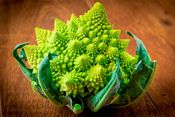 Romanesco kāpostu kaitīgums un kontrindikācijas