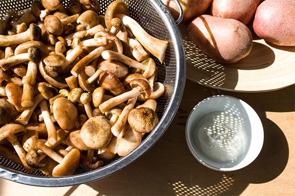 How to cook mushrooms