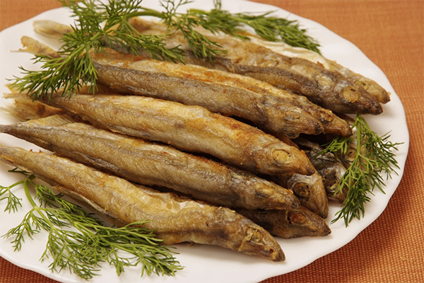 Cum să gătești capelin delicios