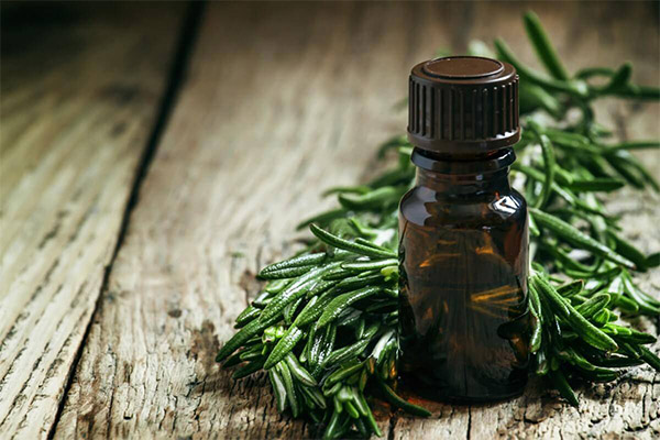 Rosemary oil