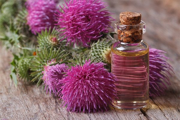 Oil of milk thistle