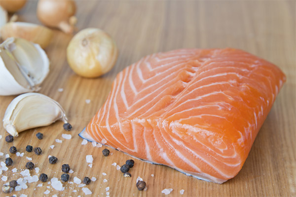 Can I Eat Chum salmon Raw