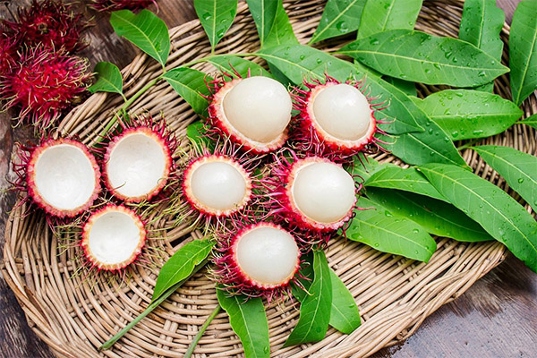 Rambutāna augļu izmantošana medicīnā