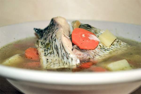 Carp soup