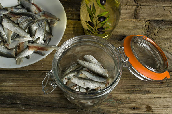 How to salt a sprat