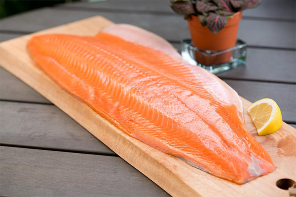 Salmon in medicine