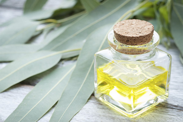 Eucalyptus oil