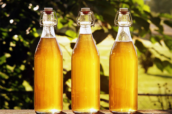 Mead in folk medicine