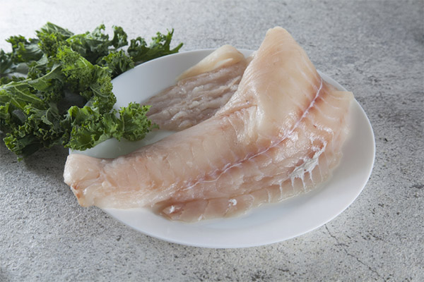 Can I Eat Haddock with Pancreatitis