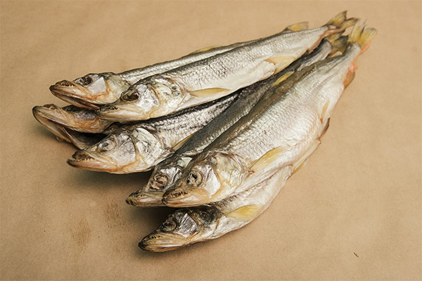 Is dried smelt useful