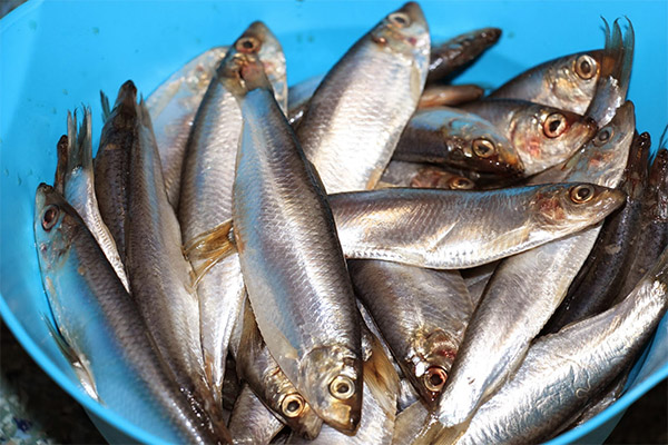 The useful properties of sprat