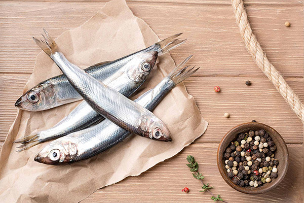 The usefulness and harm of sprat