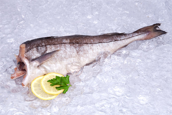 Benefits and harms of haddock