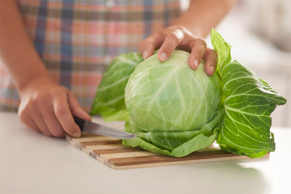 Kopūstų lapų naudojimas maisto gamyboje