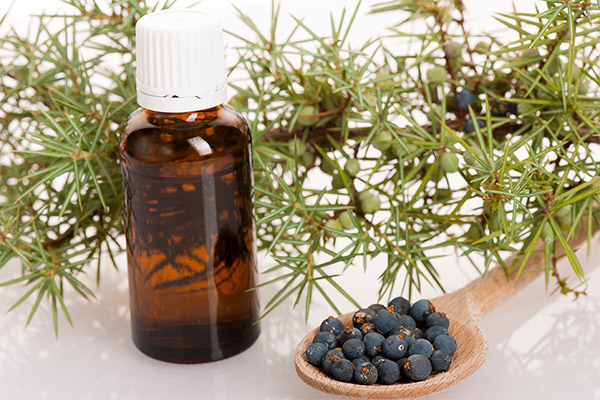 Application of juniper in cosmetology