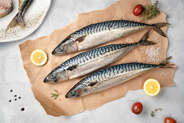 Mackerel in medicine