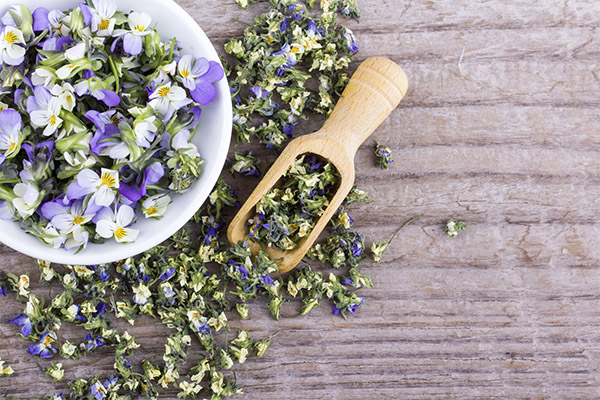 Kinds of medicinal compositions with tricolorous violets