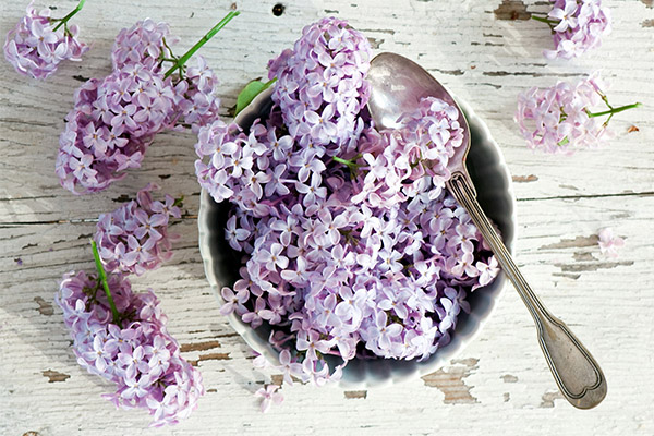 Tipuri de compoziții medicinale de liliac