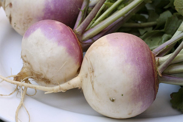 γογγύλι rutabaga στην κοσμετολογία