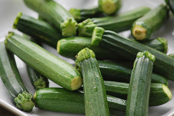 Faits intéressants sur les courgettes